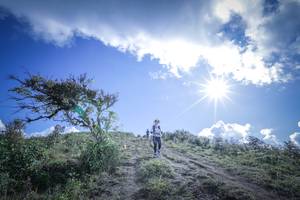 BIB: 
                            <button type="button" onclick="openModal(15955520)" class="btn btn-primary btn-sm float-right btn-popup" data-toggle="modal" data-target=".modal-high-quality">
                        <i class="fas fa-shopping-cart"></i> Add to Cart
                    </button>
                                            <button type="button" onclick="isThisMe(15955520, true)" class="btn btn-success btn-sm float-right btn-popup btn-isme hidden" data-toggle="tooltip" data-placement="bottom" title="นี่คือรูปของคุณใช่ไหม คลิกที่นี่เพื่อเอาเข้าอัลบั้ม">
                        <i class="fas fa-plus"></i> Add to album
                    </button>
                    <button type="button" onclick="isThisMe(15955520, false)" class="btn btn-warning btn-sm float-right btn-popup btn-isnotme hidden">
                        <i class="fas fa-ban"></i> Remove from album
                    </button>